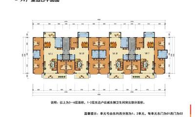 9号楼户型综合平面图