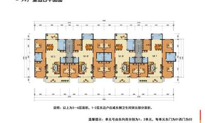 9号楼户型综合平面图