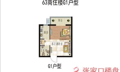 63商住楼G1户型