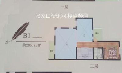 B1户型 205.75㎡