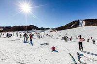 来了！2025年张家口滑雪大区将呈现！