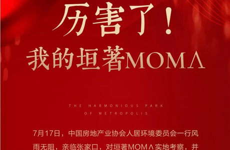 厉害了！我的垣著MOMΛ