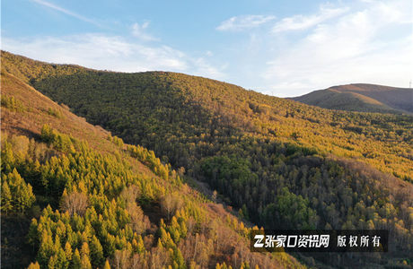 张家口新建一条景观大道：穿越崇山峻岭，美过草原天路！