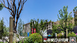 工程进度实拍图