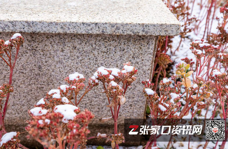 张家口醉美雪景楼盘曝光，还是现房，太惊艳了！