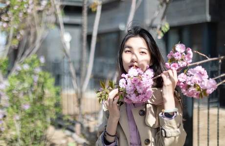 海诚•清水河畔｜看樱花，不用寻遍“四海八荒”